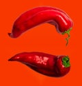 Two whole red capsicum sweet bell peppers, paprika, isolated on red background. Close up, copy space Royalty Free Stock Photo