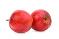 Two whole red gala apple isloated on white Royalty Free Stock Photo