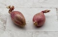 Two whole red shallots resting on a light white marble-patterned surface. Royalty Free Stock Photo