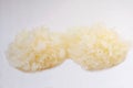 Two whole rehydrated snow or white fungus, Tremella fuciformis, ready for consumption, isolated on white