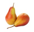 Two whole ripe pears isolated on white Royalty Free Stock Photo