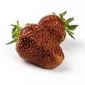 Two whole ripe red strawberries on the white background Royalty Free Stock Photo