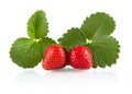 Two whole strawberries with leaves isolated on a white Royalty Free Stock Photo