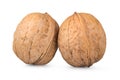 Two whole walnuts Royalty Free Stock Photo