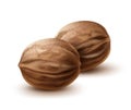 Two whole walnuts Royalty Free Stock Photo