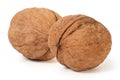Two whole walnuts Royalty Free Stock Photo
