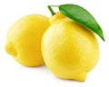 Two whole yellow lemons with leaf on white