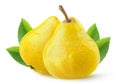 Two whole yellow pear fruits isolated over white background with leaves
