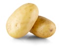 The two whole yellow potatoes. Isolated on white background. Close-up Royalty Free Stock Photo