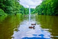 Two wild ducks on Ionian Sea lake and Snake fountain on background, Sofiyivsky Park in Uman, Ukraine Royalty Free Stock Photo