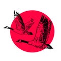 Two wild geese on a red sun background. Sketch style hand drawn vector illustration Royalty Free Stock Photo