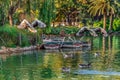 Two wild geese take off from the lake in Parc de la Ciutadella in Barcelona