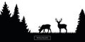 Two wildlife reindeer silhouette in the forest on the meadow black and white Royalty Free Stock Photo