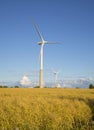 Two wind generator on a summer field Royalty Free Stock Photo