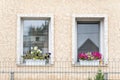 Two windows with blinds and flowers on the windowsill of house. Facade of the building. Modern building Royalty Free Stock Photo