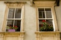 Two windows with flowers in pots Royalty Free Stock Photo