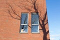 Two windows on a modern building with shadow of a tree Royalty Free Stock Photo