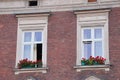 Two Windows in an old house, decorated with flowers windowsill. renovated facade of the slopes. the walls are of red brick Royalty Free Stock Photo