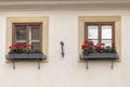 Two windows with wooden frames, red flowers on the windowsill, a light concrete wall Royalty Free Stock Photo