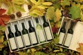 Two wine gift boxes