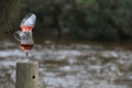 Two Wine Glasses Balanced With River Water In BackgroundWith