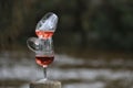 Two Wine Glasses Balanced With Rose, Outdoor Abstract Scene