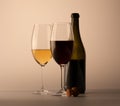 Two wineglass white and red wine and bottle of wine Royalty Free Stock Photo