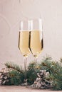 Two wineglasses of champagne with Christmas tree branches