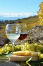 Two wineglasses, cheese and grapes Royalty Free Stock Photo