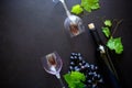 Two wineglasses with red wine, bottle and grape leaves lying on dark wooden background. Royalty Free Stock Photo