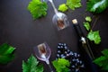 Two wineglasses with red wine, bottle and grape leaves lying on dark wooden background. Royalty Free Stock Photo