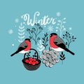 Two winter birds with the basket of berries. Royalty Free Stock Photo