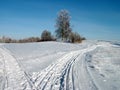 Two winter ways Royalty Free Stock Photo
