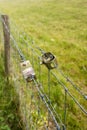 Two wire tensioners in an agricultural fence Royalty Free Stock Photo