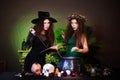 Two witches with a book and a dagger are preparing a potion in a cauldron standing in a dark room. Celebrating halloween