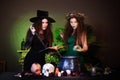 Two witches with a book and a dagger are preparing a potion in a cauldron standing in a dark room. Celebrating halloween