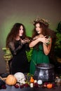 Two witches with rats in their hands pose against a dark background