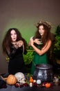 Two witches with rats in their hands pose against a dark background