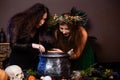 Two witches with tousled hair brew a potion in a cauldron with rats, halloween concept