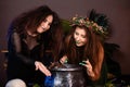 Two witches with tousled hair brew a potion in a cauldron with rats, halloween concept Royalty Free Stock Photo