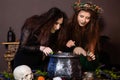 Two witches with tousled hair brew a potion in a cauldron with rats, halloween concept