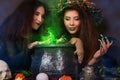 Two witches with tousled hair brew a potion in a cauldron with rats, halloween concept