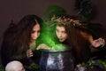 Two witches with tousled hair brew a potion in a cauldron with rats, halloween concept Royalty Free Stock Photo