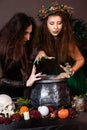 Two witches with tousled hair brew a potion in a cauldron with rats, halloween concept