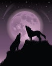 Two wolfs. Royalty Free Stock Photo