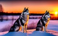 Two wolfs in a snowy landscape at sunrise.Generative Al Illustration Royalty Free Stock Photo