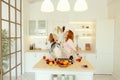 Two woman friends taking breakfast in the kitchen and having fun, talking and laughing. Friendship and healthy lifestyle Royalty Free Stock Photo