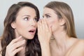 Two woman gossip Royalty Free Stock Photo