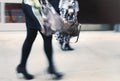 Two woman holding a designer handbag and wearing high heels