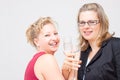 Two women celebrate success Royalty Free Stock Photo
